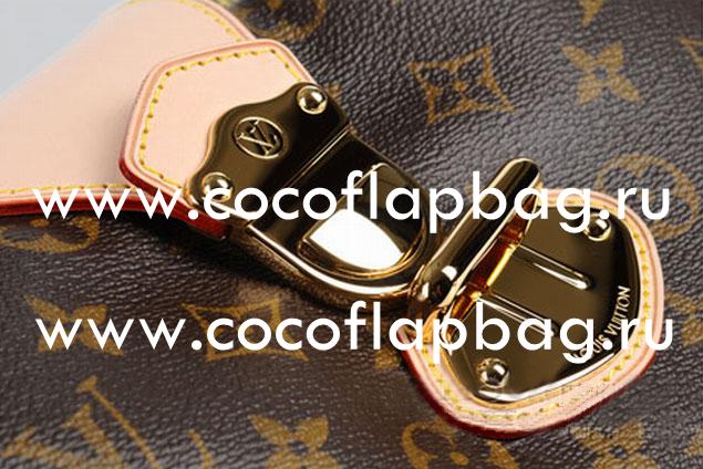 Louis Vuitton Fall Monogram Canvas Stresa PM M51186