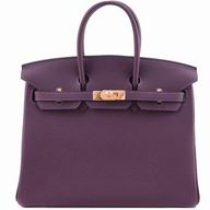 Hermes Birkin 25 Purplish Red Togo Leather Gold Hardware H1025ZHG