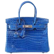 Hermes Birkin 30 Mykonos Crocodile Palladium Handbag HS5551P