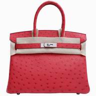Hermes Birkin 30 cm Bougainvillea Ostrich Palladium Handbag HS895TF8
