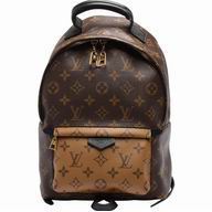 Louis Vuitton Monogram Canvas Palm Springs Backpack PM M43116