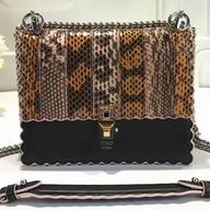Fendi Kan I Python Skin Chain shoulder Bag F7092801
