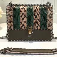 Fendi Kan I Python Skin Chain shoulder Bag F7092802