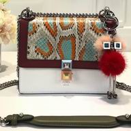 Fendi Kan I Python Skin Chain shoulder Bag F7092805