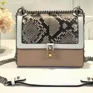 Fendi Kan I Python Skin Chain shoulder Bag F7092808