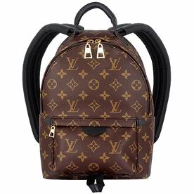 Louis Vuitton Monogram Canvas Palm Spring Backpack PM M41560