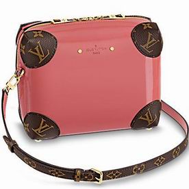 Louis Vuitton Venice Monofram Embossed or Sleek Patent Cowhide Bag M53546