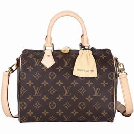 Louis Vuitton Monogram Canvas Speedy Bandouliere 25 M41113
