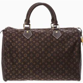 LOUIS VUITTON MONOGRAM MINI LIN SPEEDY 30 IN FUSAIN M95224