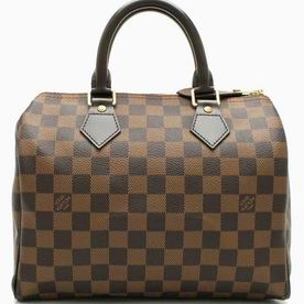Louis Vuitton Damier Ebene Canvas Speedy 25 Handbag N41532