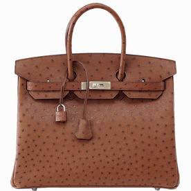 Hermes Osrich 35cm Birkin Bag Palladium Hardware Hand Sewing H1035OSG