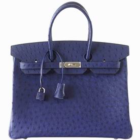 Hermes Ostrich 35cm Birkin Bag Palladium Hardware Hand-Sewing H1035BIR