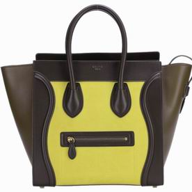 Celine Mini Luggage Calfskin Nano Bag(Brown/Greenish/Yellow) CE66198
