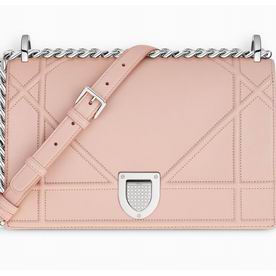 DIORAMA BAG NUDE LAMBSKIN in silver-tone metal M0422PNAG M05U