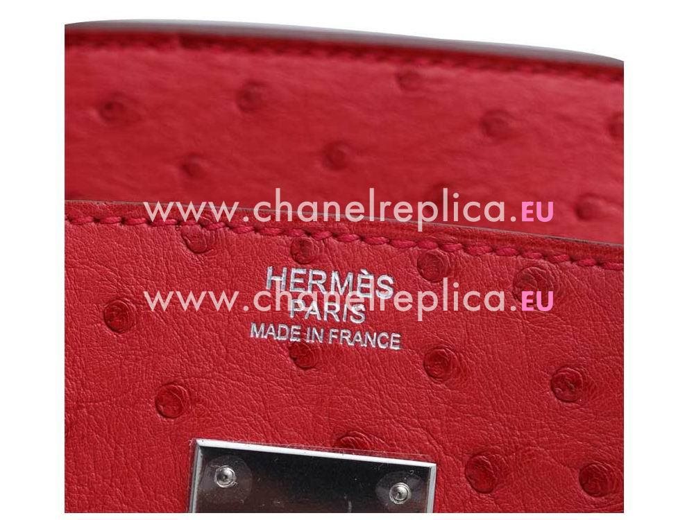 Hermes Birkin 30cm Bougainvillea Ostrich Palladium Handbag HS895TF8