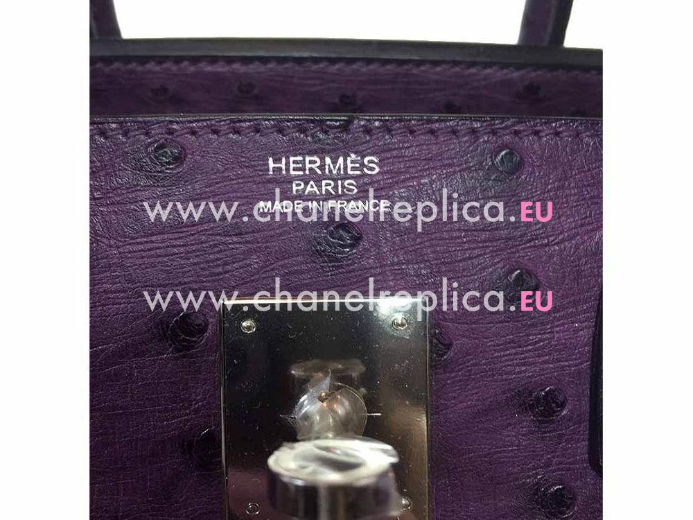 Hermes Birkin 30 Raisin Ostrich Palladium Palladium Handbag HS9859KS
