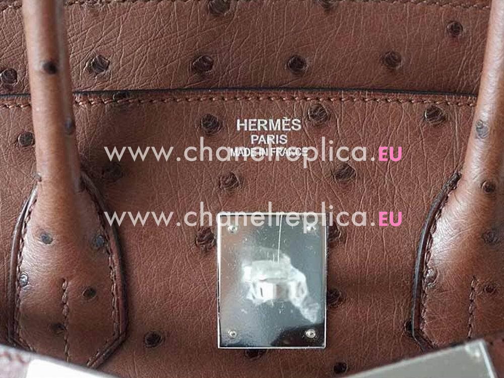 Hermès Birkin 35 Ostrich Etrusque Palladium Hand Sew Bag H1035OSG