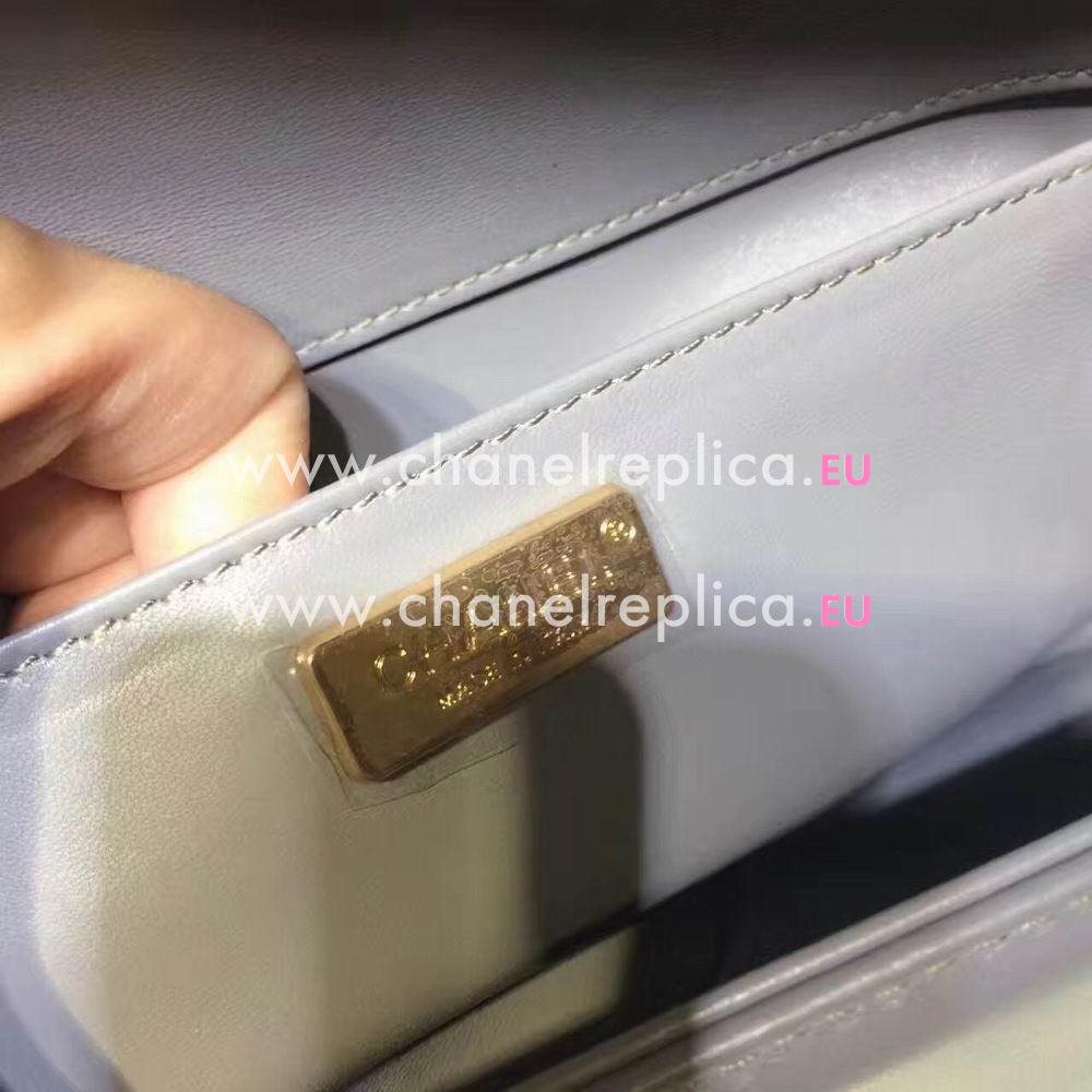 Chanel Boy Cuprum Hardware Trichogaster leeri Leather Bag C7032401