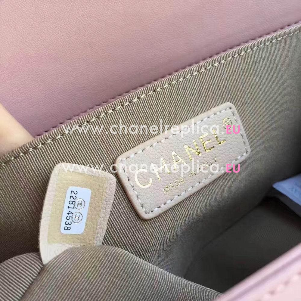 CHANEL Leboy Shoppe Gold Hardware Calfskin Bag in Pink C61210902