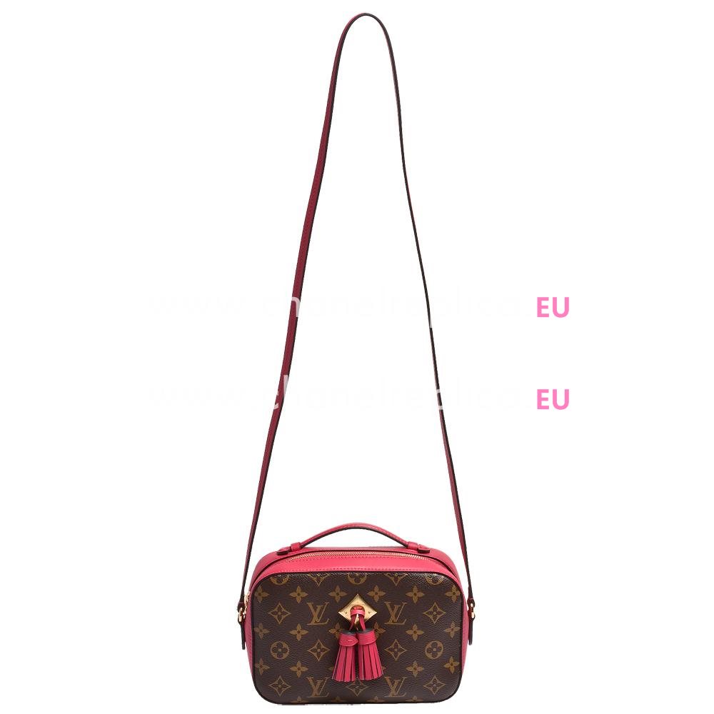 Louis Vuitton Saintonge Monogram Canvas Handbag Freesia M43557