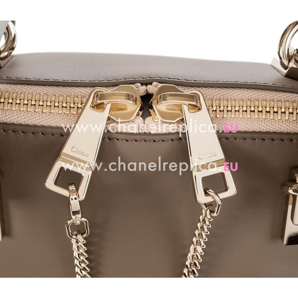 Chloe Bayle Calfskin Hand Bag In Brown C5255434