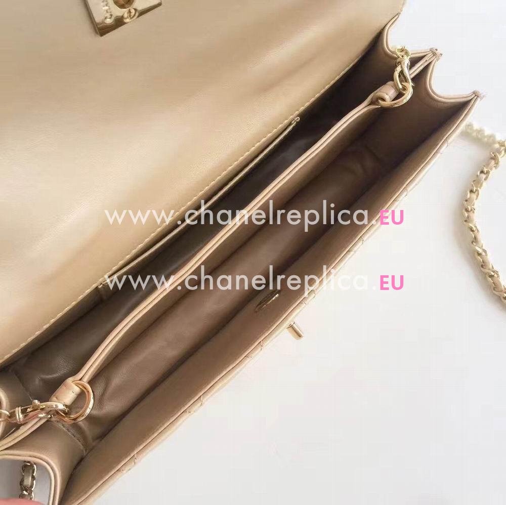 Chanel New Style Sheepskin Hand/Shoulder Bag C6120503