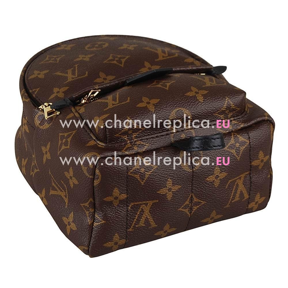 Louis Vuitton Monogram Canvas Palm Spring Backpack Mini M41562