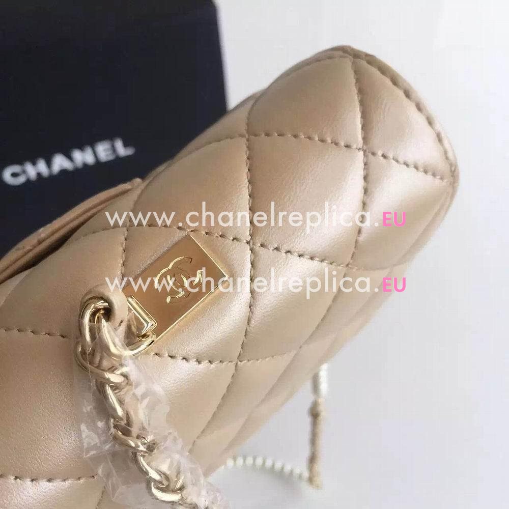 Chanel New Style Sheepskin Hand/Shoulder Bag C6120503