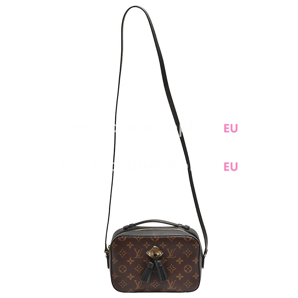 Louis Vuitton Monogram Canvas/Smooth Calfskin Saintonge Shoulder Bag M43555