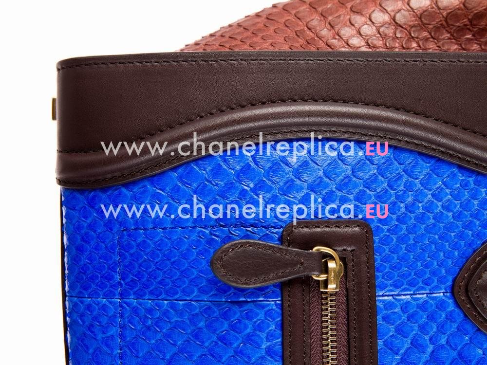 Celine Nano Luggage Tote Bag Real Snake Leather CE529048