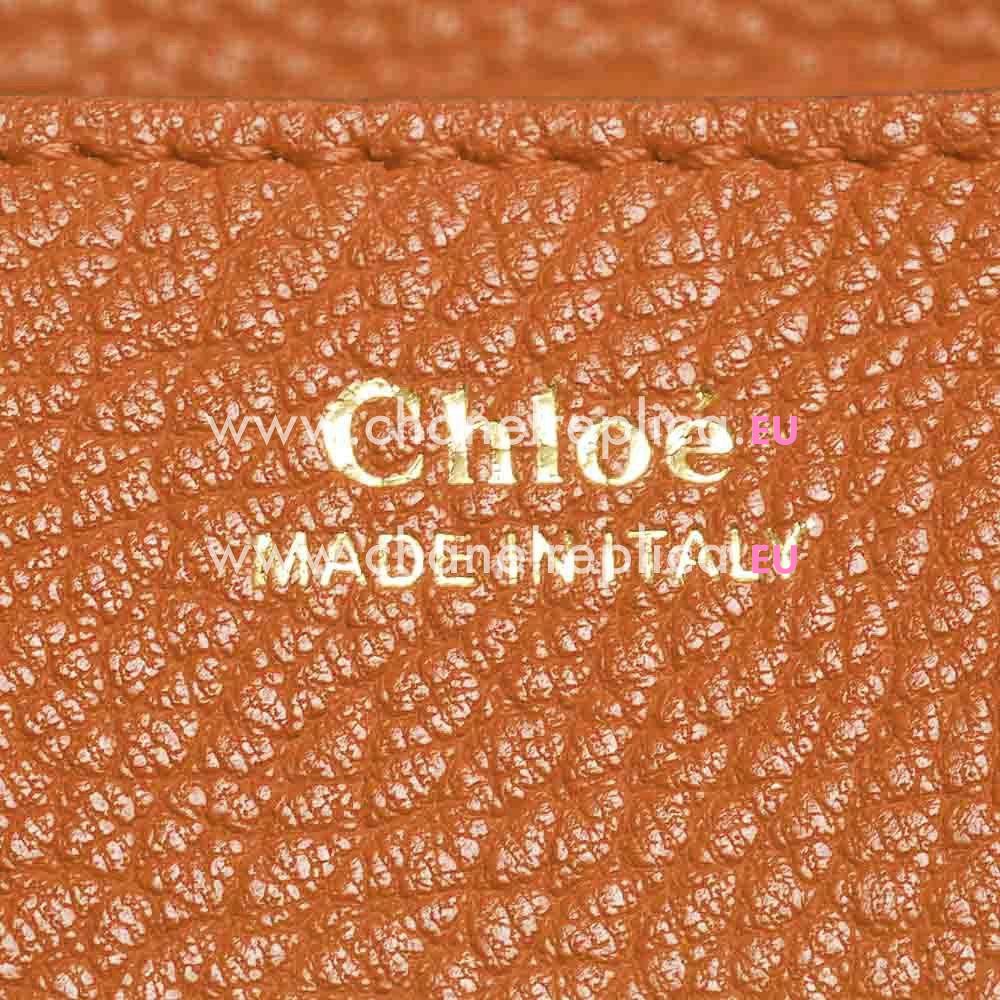 Chloe Drew Grain Caviar Goatskin Leather Golden Chain Bag Brown C55649983