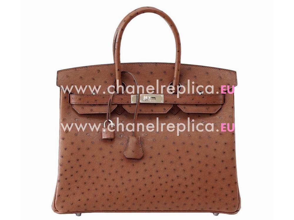 Hermès Birkin 35 Ostrich Etrusque Palladium Hand Sew Bag H1035OSG