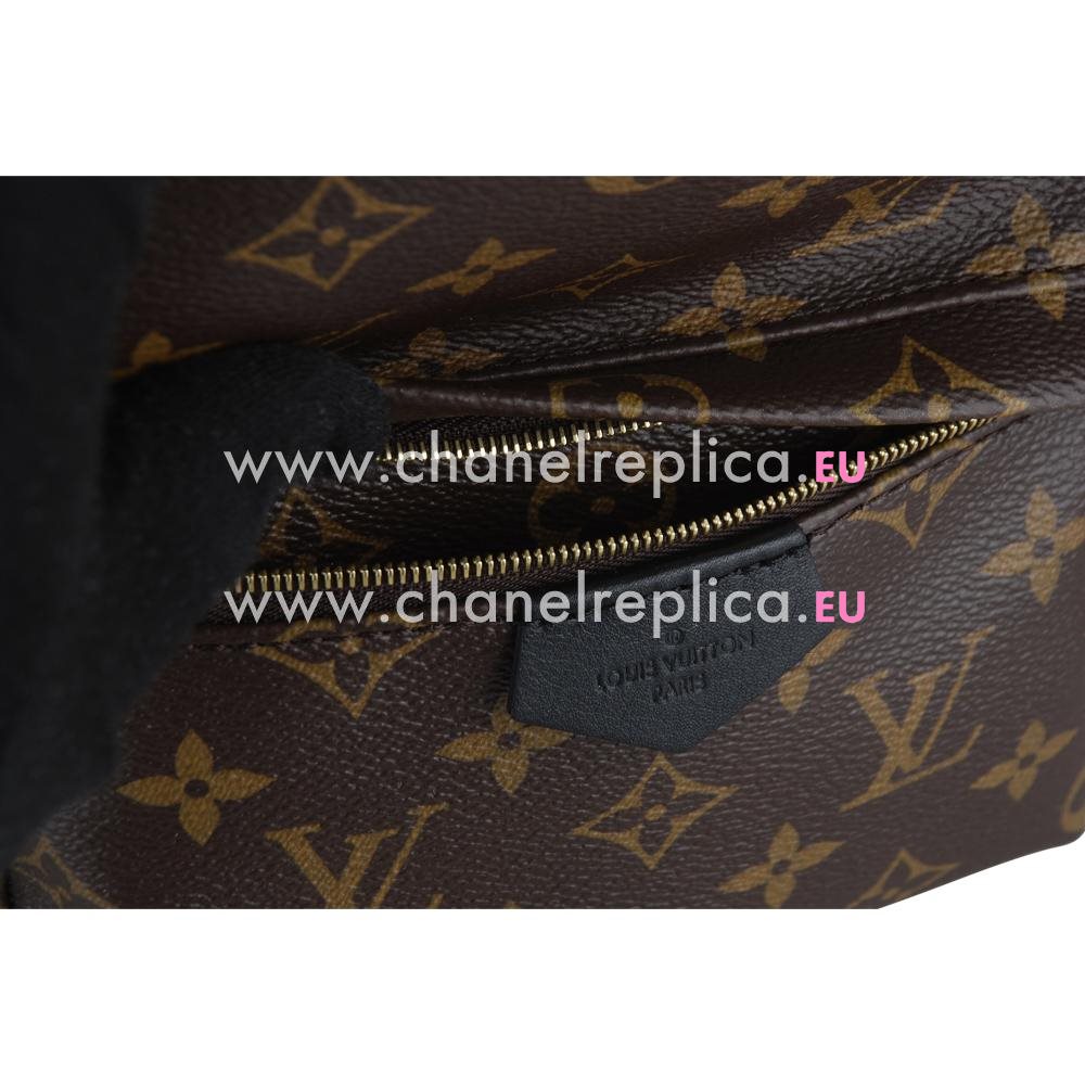Louis Vuitton Monogram Canvas Palm Spring Backpack PM M41560