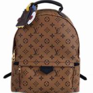 LOUIS VUITTON PALM SPRINGS BACKPACK MM/PM M41562