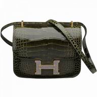 Hermes Constance 18cm Vert Veronese Shiny Crocodile Micro Bag(Silver) HC1018CRO