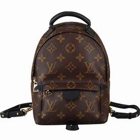 Louis Vuitton Monogram Canvas Palm Spring Backpack Mini M41562